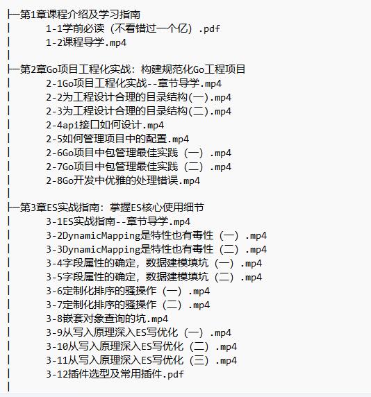 海量數(shù)據(jù)高并發(fā)場(chǎng)景 構(gòu)建Go+ES8企業(yè)級(jí)搜索微服務(wù) 視頻教程 下載 圖1