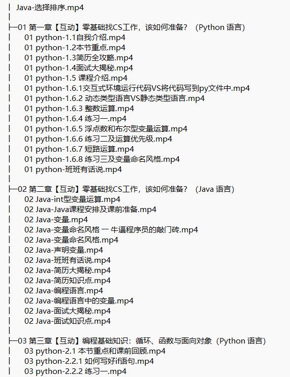 Python+Java基礎(chǔ)視頻教程 下載 圖1